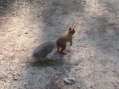 Прикрепленное изображение: 08_02_15.JPEG